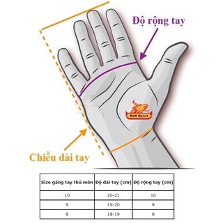 Găng thủ môn Predator Pro màu trắng đỏ