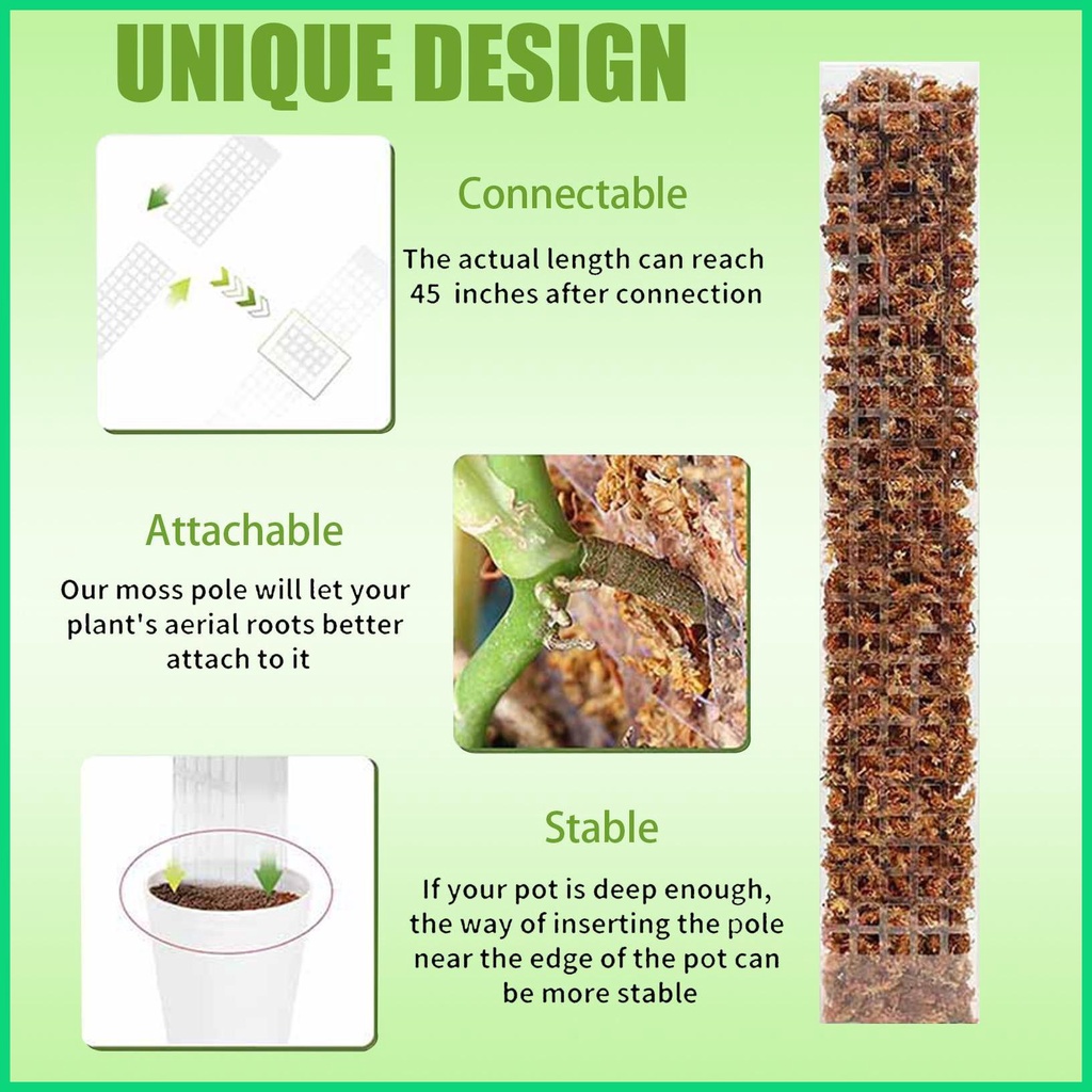 Gậy Hỗ Trợ Trồng Cây Trong Nhà 24 Inches Monstera Moss Leo Trèo Monstera jiwvn Jwvn