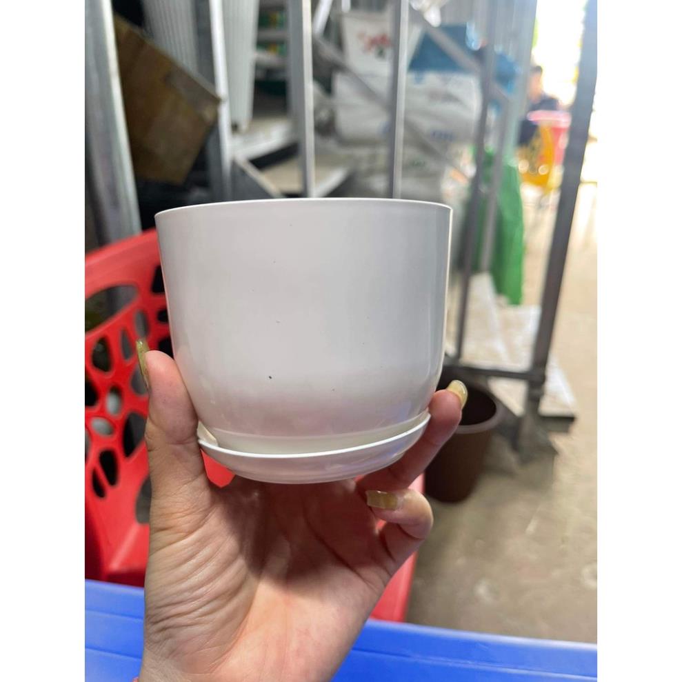 Chậu nhựa tròn giả sứ kèm đĩa trồng cây cảnh mini, sen đá, sương rồng kèm hàng dày đẹp