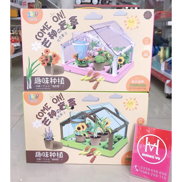 Đồ chơi Trồng cây trong nhà kính mini giúp bé theo dõi sự nảy mầm và phát triển của cây, yêu thiên nhiên hơn