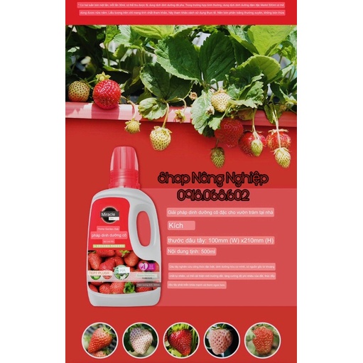 Dung dịch dinh dưỡng chuyên dùng cho cây Dâu Tây, chai 250ml