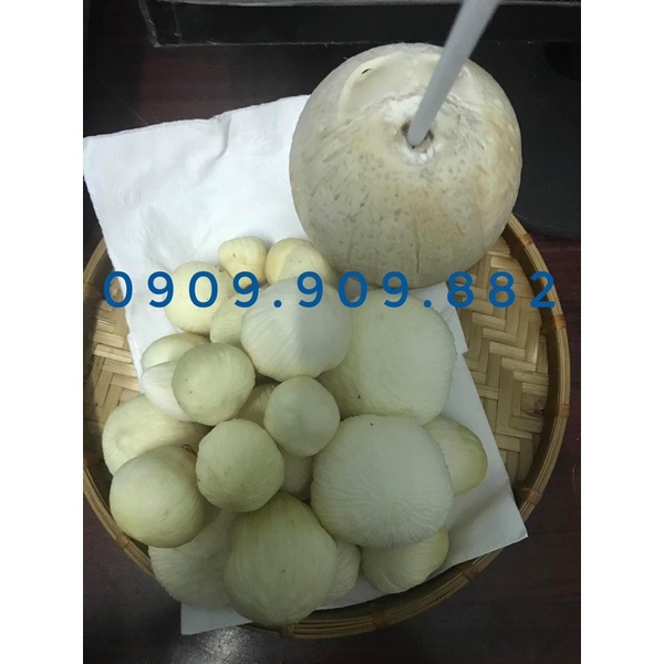 Mộng dừa tươi Bến Tre - 500 gram