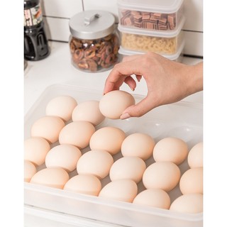 Hộp đựng 24 trứng gà có nắp đậy