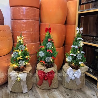 CÂY SƠN TÙNG GIÁNG SINH SIZE 50CM FULL PHỤ KIỆN + TÚI BỐ + ĐÈN LED