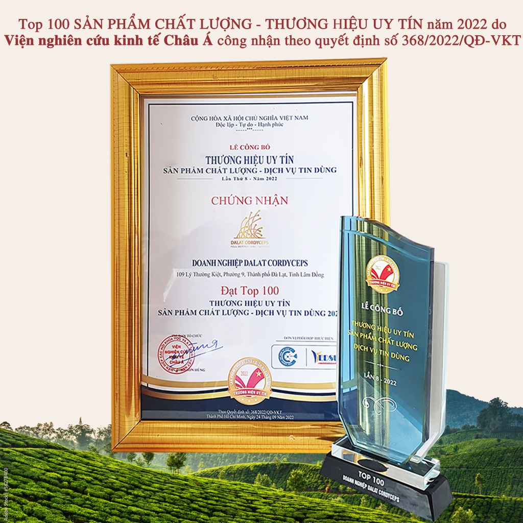 Đông trùng hạ thảo hữu cơ, hộp quà tặng cao cấp, Dalat Cordyceps