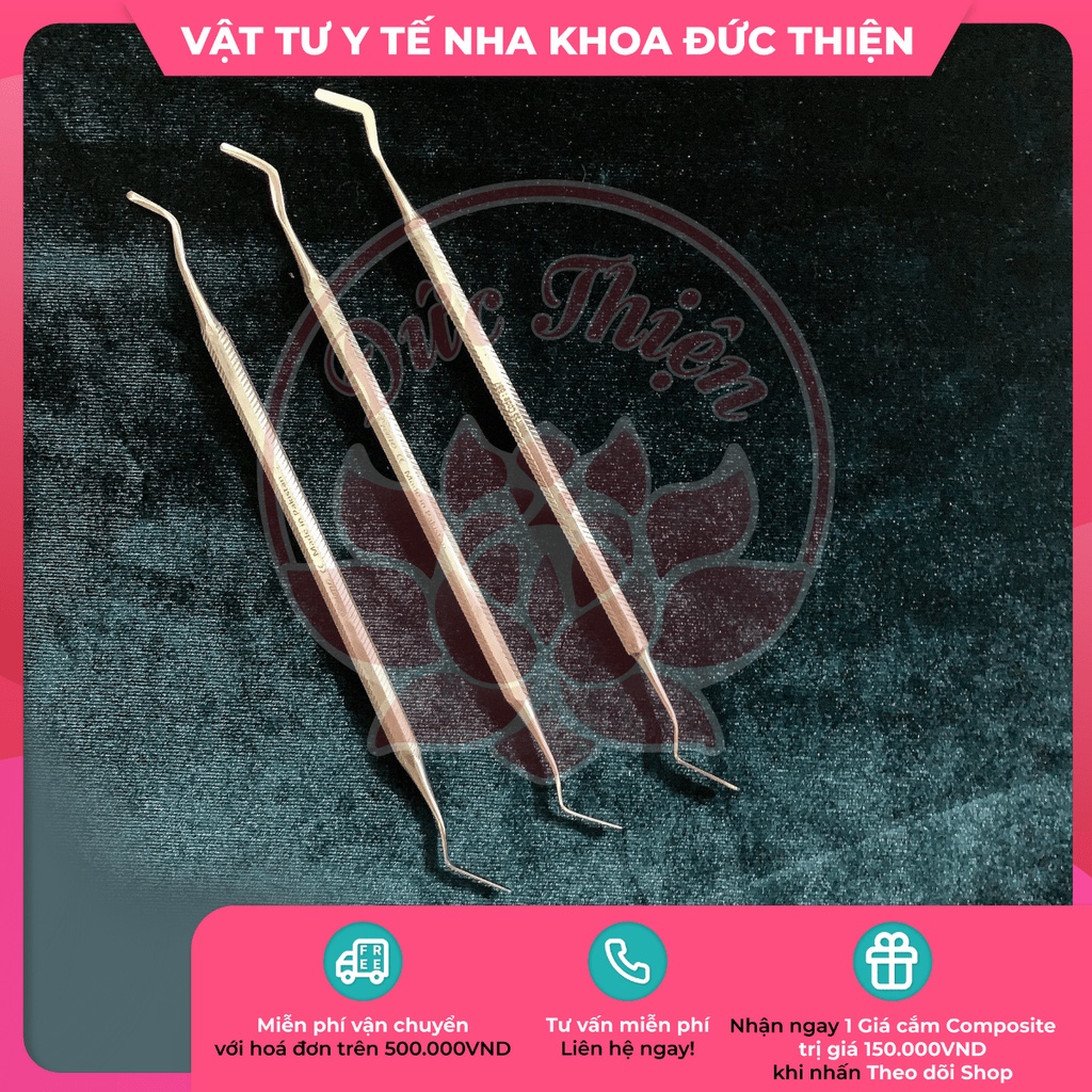 Cây trám Pakistan - Cây miết đưa - Dụng cụ nha khoa chính hãng
