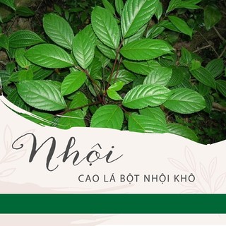 Bột Nhội khô