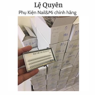 Mi Chùm Hàn Tơ