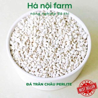 1kg đá trân châu perlite trồng cây