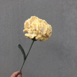 Hoa Cẩm Chướng bằng len handmade