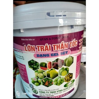 Xô lớn trái thần tốc, sầu riêng, mít, xoài, cam, chanh,, quýt, bưởi....