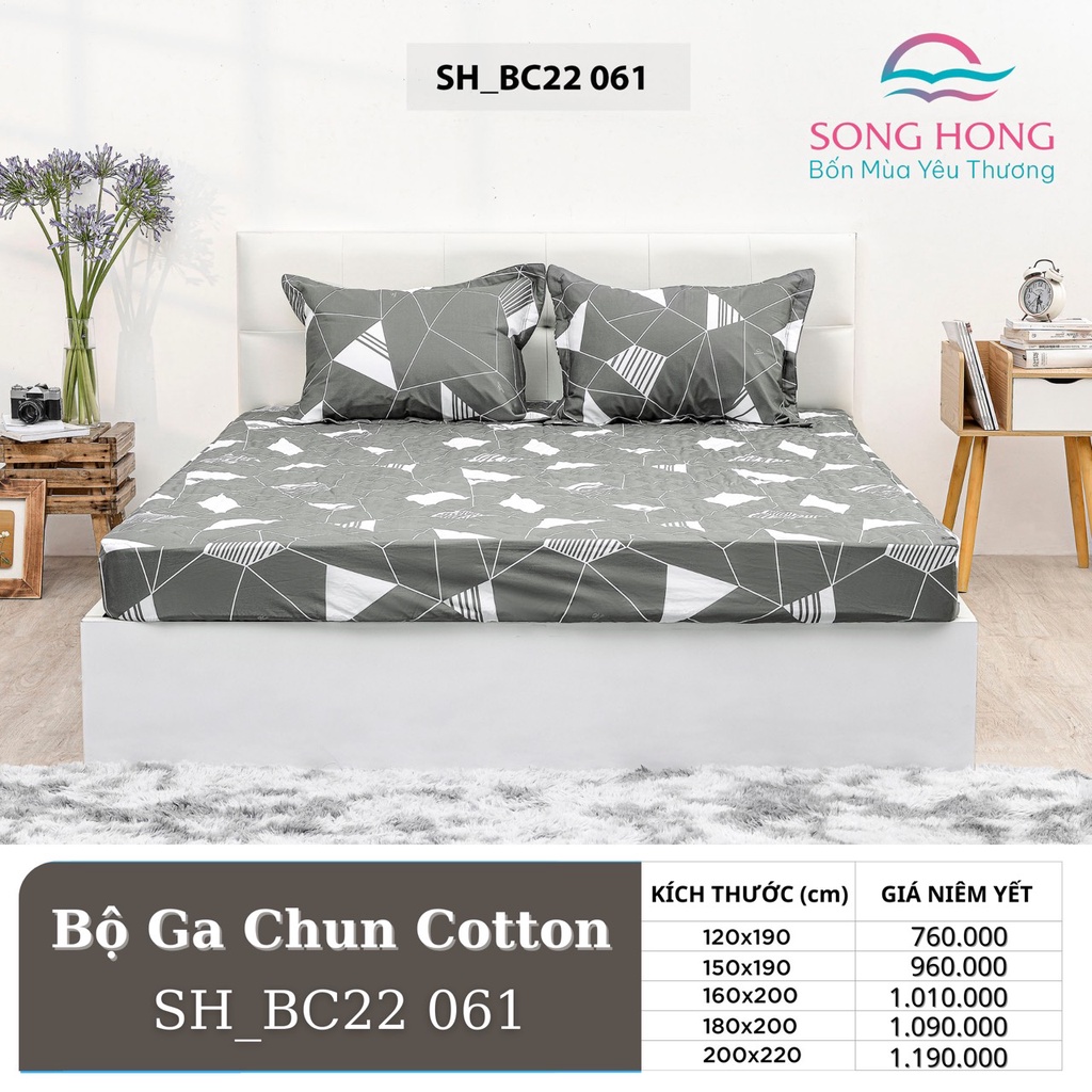 Bộ ga chun 120x200 có chần cotton Sông Hồng