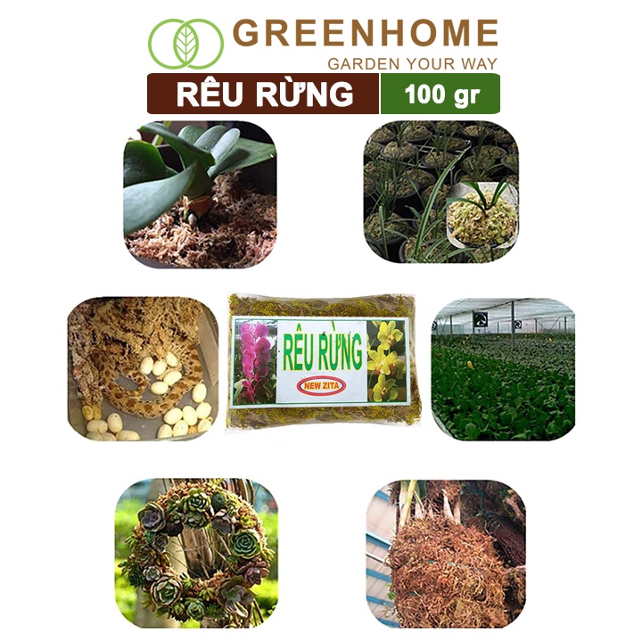 Rêu rừng đã qua xử lý newzita Greenhome, bao 100gr, đã qua xử lý, giữ ẩm tốt, chuyên phong lan, kiểng lá