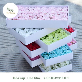 Hoa cẩm tú cầu bằng sáp (1 chùm 6 nhánh nhỏ)