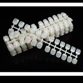 Móng mẫu vuông tập vẽ form Hàn Quốc