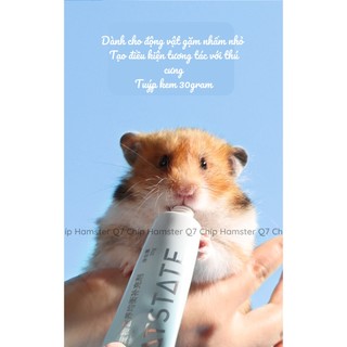 Gel dinh dưỡng Bucatstate ( Hamster / Gặm Nhấm )