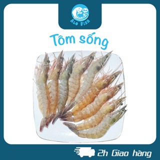 HCM - Tôm Thẻ Sống Tươi Ngon Alo fish