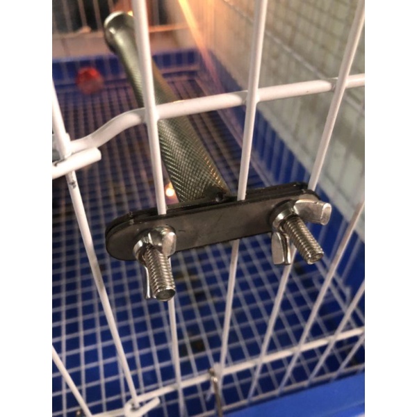 Cầu mài móng inox cho vẹt size trung và nhỏ