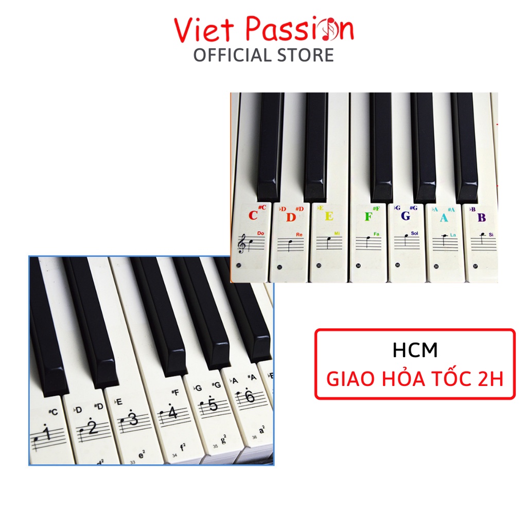 Sticker dán nốt bàn phím đàn piano organ Decal đánh dấu vị trí note nhạc dùng cho các phím đàn 88 76 61 54 36vietpassion
