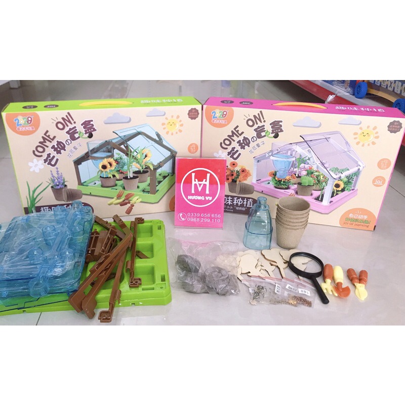 Đồ chơi Trồng cây trong nhà kính mini giúp bé theo dõi sự nảy mầm và phát triển của cây, yêu thiên nhiên hơn