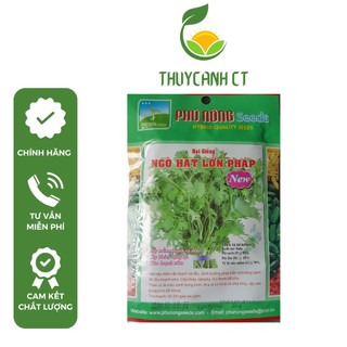 Hạt giống ngò hạt lớn pháp phunongseeds - 20g