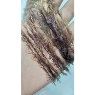 Mi Loang Mềm Mượt