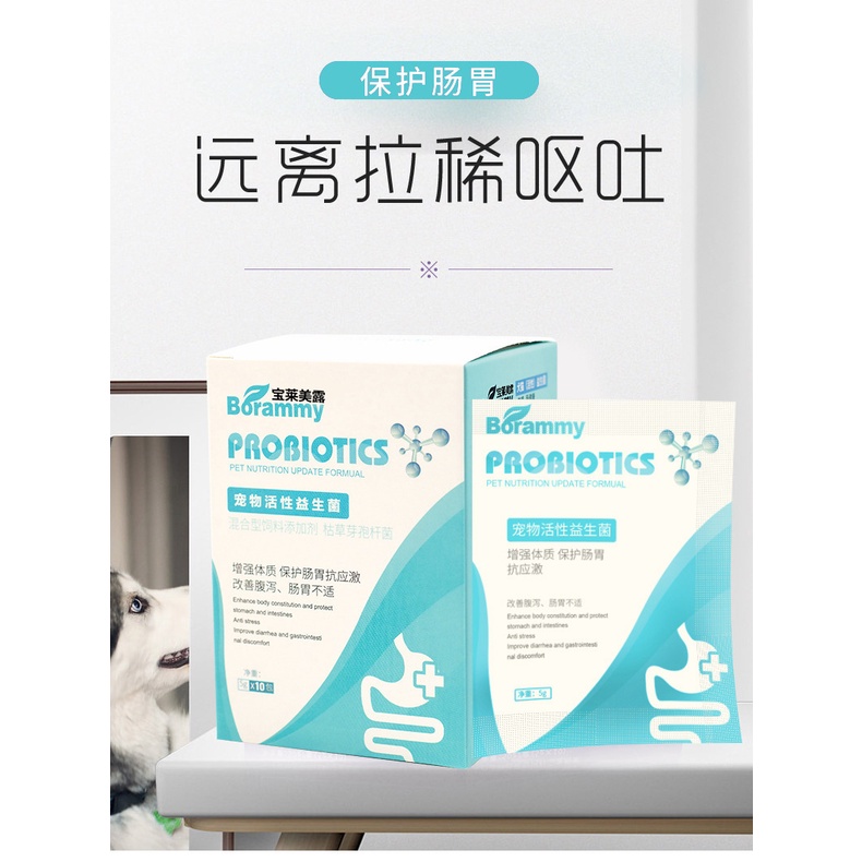 Men vi sinh cho mèo Borammy hỗ trợ tiêu hoá cho chó với Probiotic ngừa nôn mửa tiêu chảy BM15