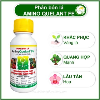 Phân bón lá Amino Fe - Biến lá vàng thành lá xanh - 100ml
