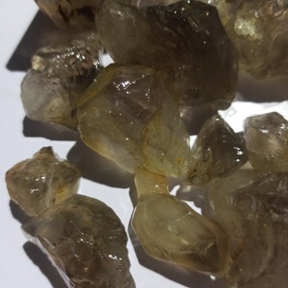 100gr Mầm khói tự do mini Smoke Gold