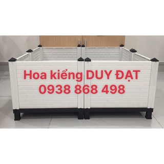 Chậu lắp ráp thông minh 120cm x 80cm x 60cm