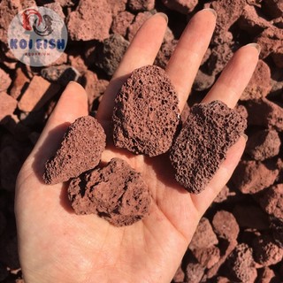 Đá nham thạch lọc nước bể cá túi 1kg (lọc nước hiệu quả, nuôi vi sinh tốt)
