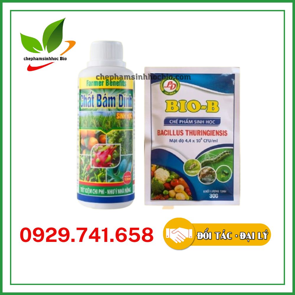 Combo chế phẩm sinh học Bio B 30gram và chất bám dính 120ml. Tiêu diệt côn trùng, ầy bọ trĩ, bọ cánh cứng, nhện đỏ