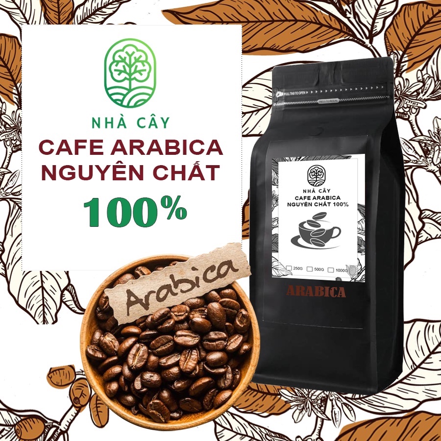 Cafe Arabica nguyên chất