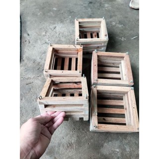 Combo 5 chậu gỗ trồng lan vuông 15x15cm