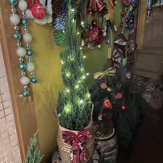 ĐÈN LED TRANG TRÍ NOEL GIÁNG SINH
