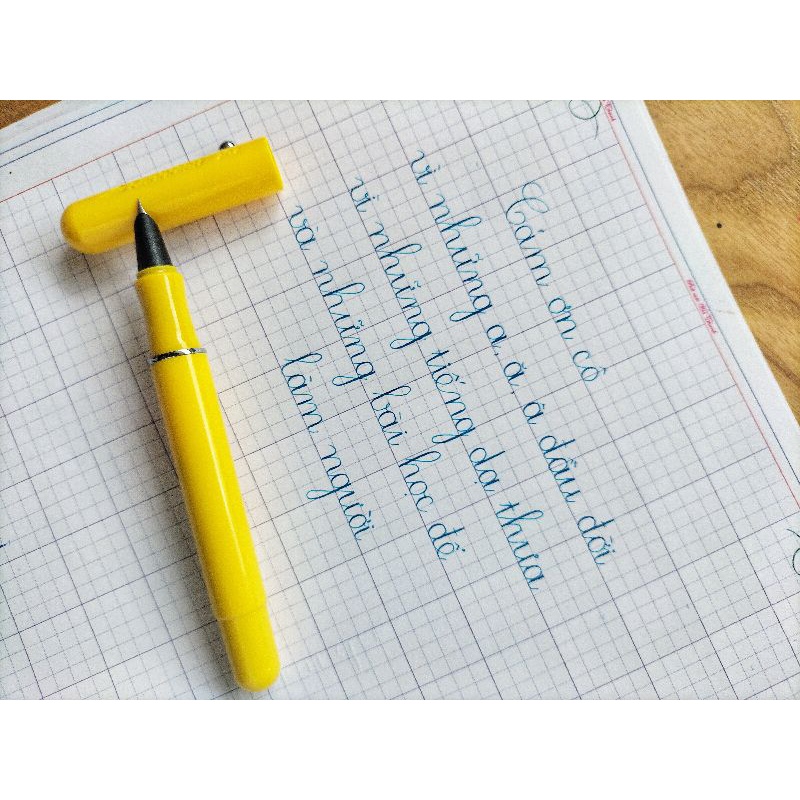Bút máy Cánh Diều 202 loại vòng đệm⚡ CAO CẤP ⚡ bút mực cho bé lớp 1 trở lên - bút luyện chữ đẹp - được chọn màu