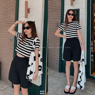 SP008646 - Quần short lửng