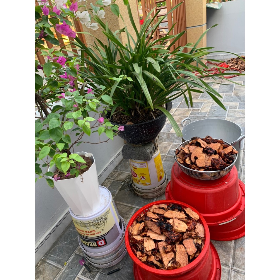 HŨ 100gr CAO HÀ THỦ Ô  - DƯỢC LIỆU HÀ HOÀNG