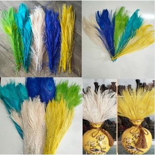 Lông Công Màu TRẮNG,VÀNG, XANH♈ trang trí 30cm-lông Khổng tước chiêu tài,trang trí