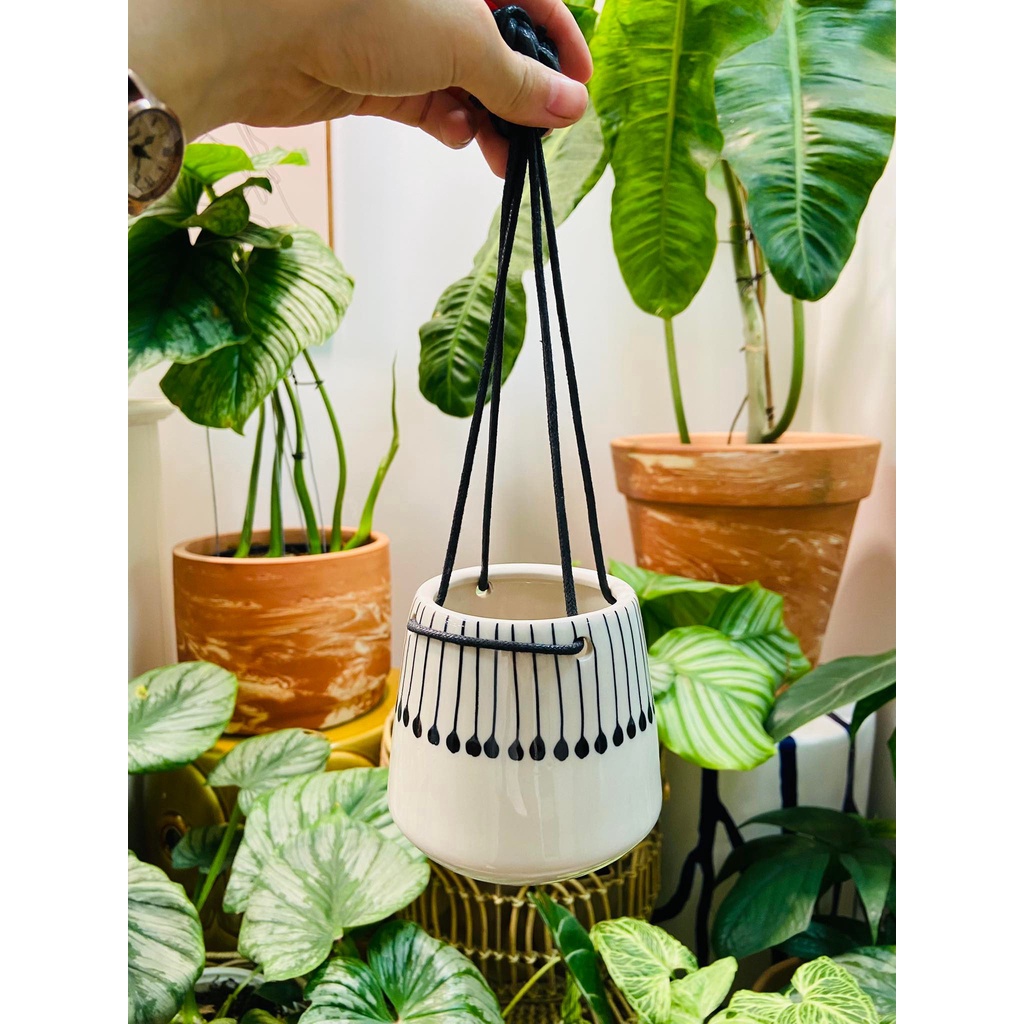 Chậu gốm treo/ ốp tường thủ công tinh xảo dùng trồng cây decor trang trí Vườn Gốm - The Garden
