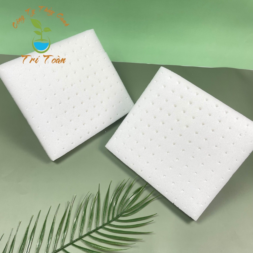 Bộ 10 Tấm Mút Ươm Hạt Trồng Rau Thủy Canh 110 Viên