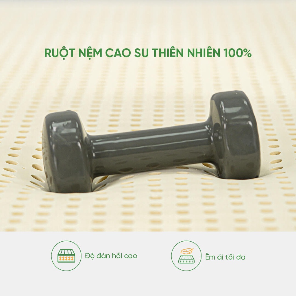 Nệm cao su 100% thiên nhiên cao cấp Gummi Standard 10cm tại Vua Nệm - Nâng đỡ vượt trội, thoáng kí tối ưu