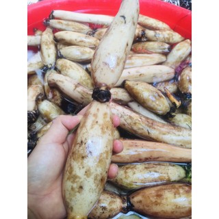 Trà củ sen ÔNG THẮNG-100g/150g