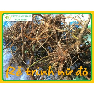 500g rễ cây xấu hổ/ trinh nữ khô loại 01