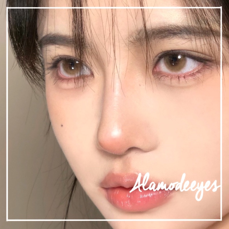 Lens nâu sữa k vân áp tròng