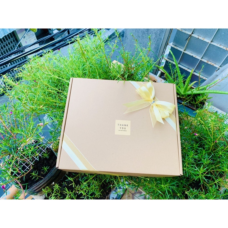 HỘP QUÀ CÓ NẮP KRAFT HANDMADE SIZE 30x25x6cm