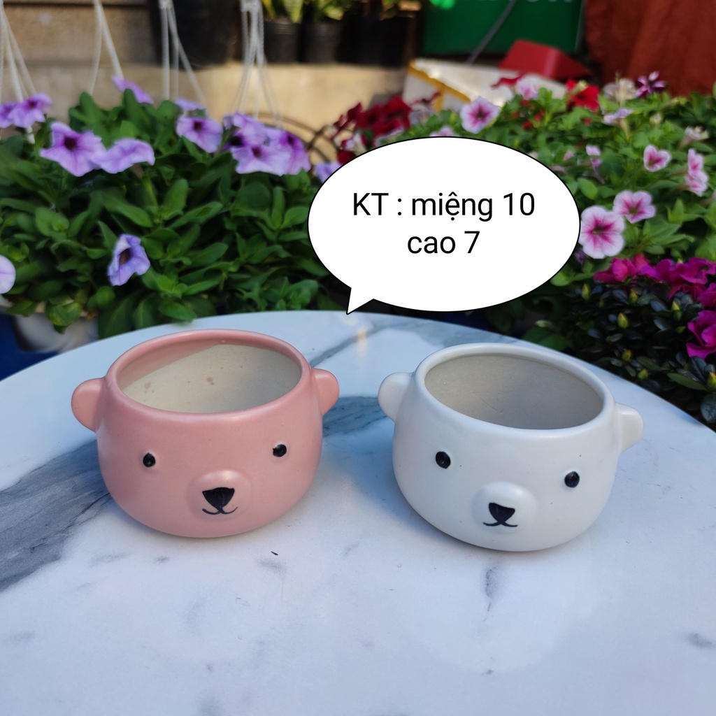 Chậu trồng cây tráng men ,trồng các loại cây để bàn cực đẹp