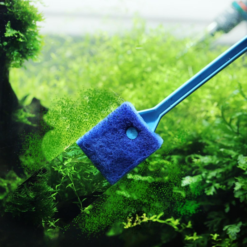 Bàn Chải Vệ Sinh Bể Cá Hai Mặt Có Tay Cầm Dài Dễ Sử Dụng