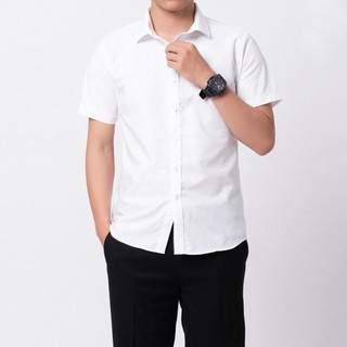 Áo sơ mi nam trắng ngắn tay công sở cotton dáng ôm thoải mái không nhăn xù aligro algs-c96