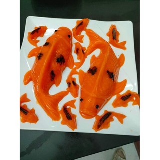 khuôn nhựa cá chép